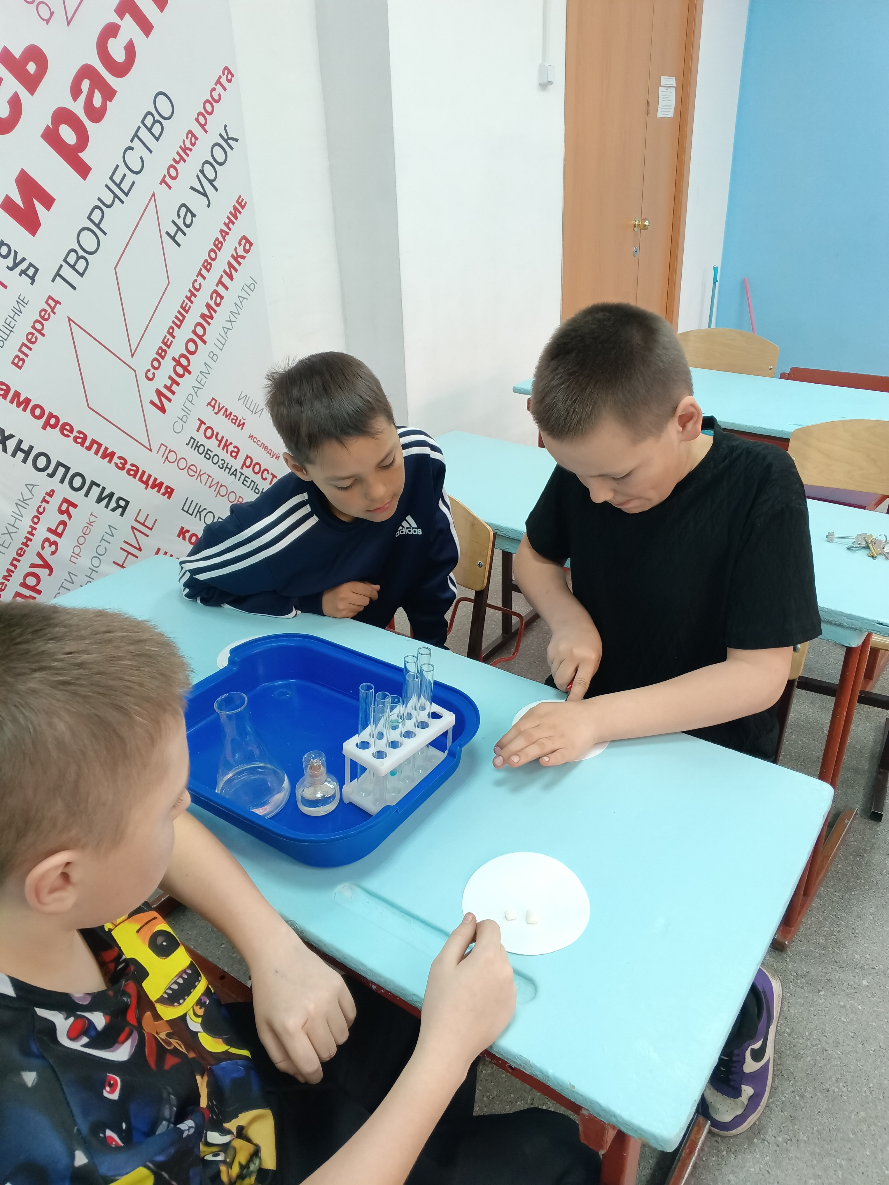 Кружок &amp;quot;Изучаем и исследуем мир живой природы&amp;quot;.