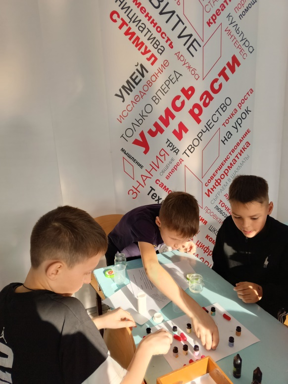 Кружок &amp;quot;Изучаем и исследуем мир живой природы&amp;quot;.